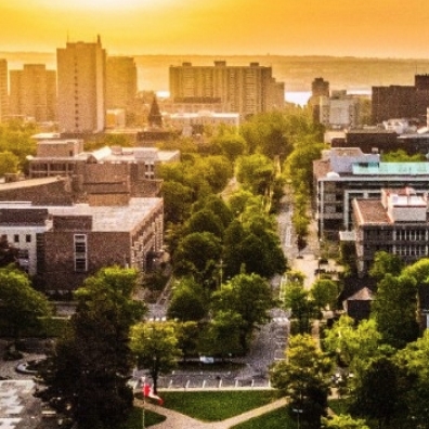 Aerial photo of a tree-lined boulevard and campus buildings under a glowing sunset. 