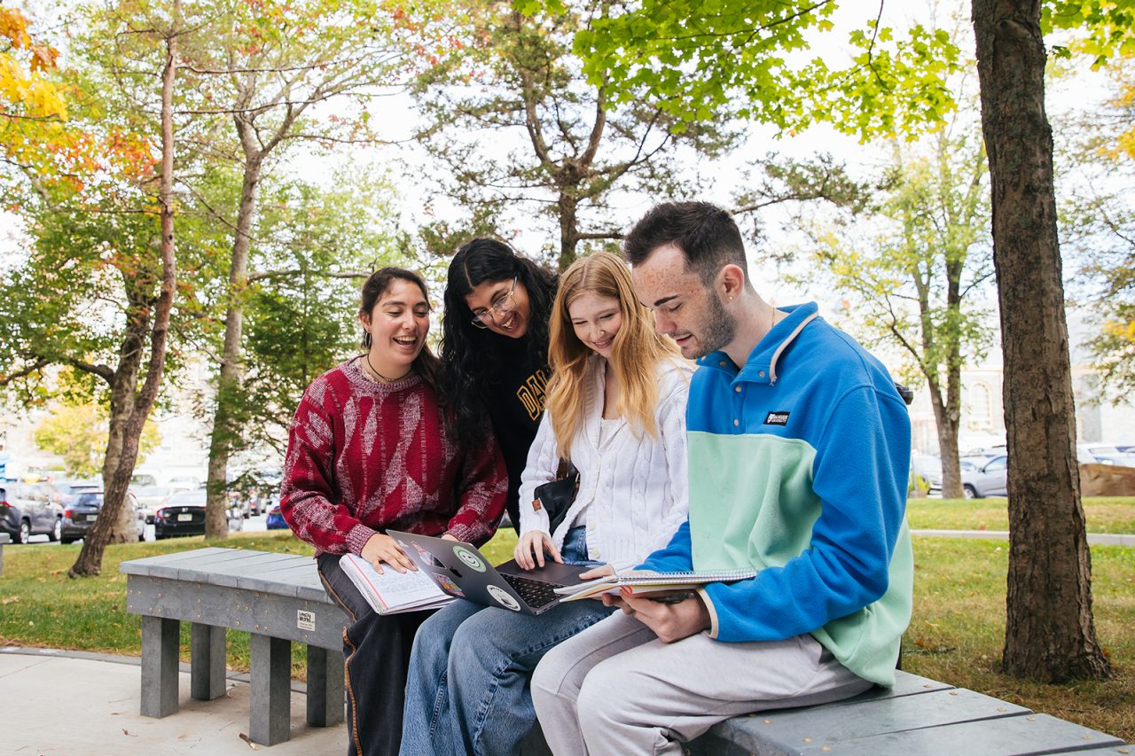 Four students smiling and sitting on a bench while looking at documents on a sunny day.