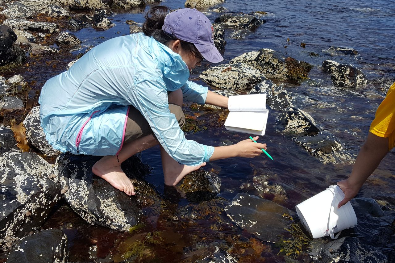 A student wearing blue rain gear and a purple cap squatting on rocks at the waters edge to take notes. A student in the foreground scoops water in a bucket.