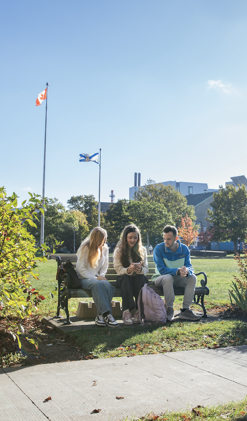 group of three student sitting on a bench in the quad looking at a phone together