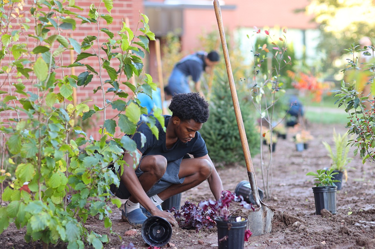Black male-presenting student wearing shorts and gardening clogs kneels to plant a tree. A shovel is in the ground in front of them, and they are surrounded by plastic pots and seedlings.