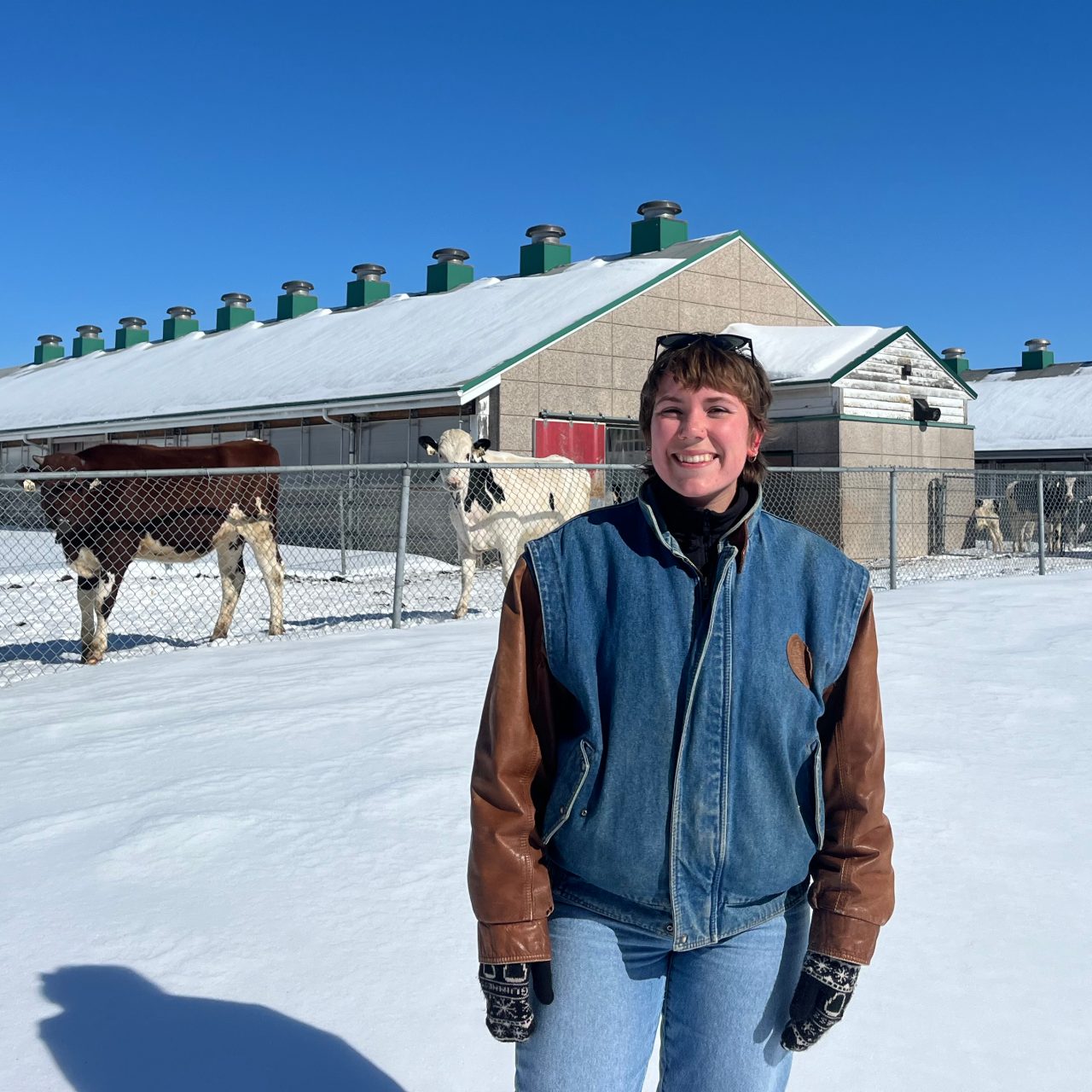 Sophie Cramm at the Ruminant Animal Centre on Dal's Truro Campus